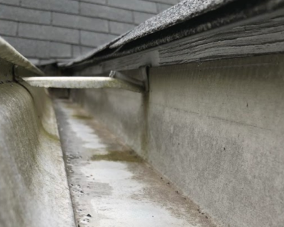 gutter-cleaning-service-lagrange-ga